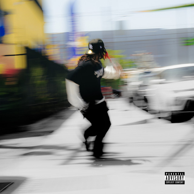 Mutt cover